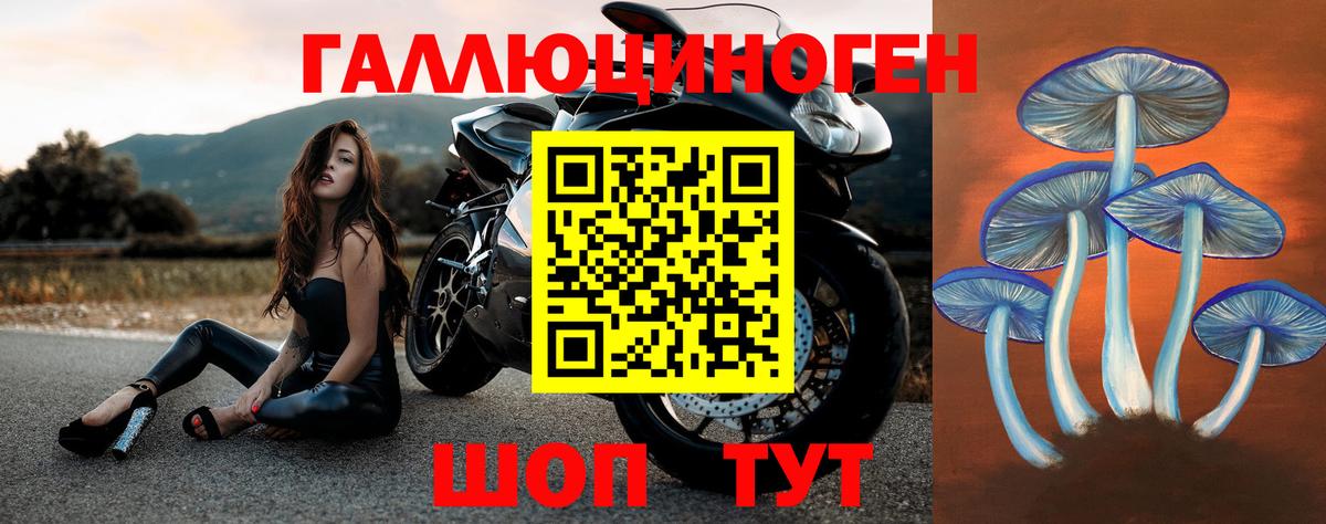 Галлюциногенные грибы GOLDEN TEACHER Южно-Сахалинск