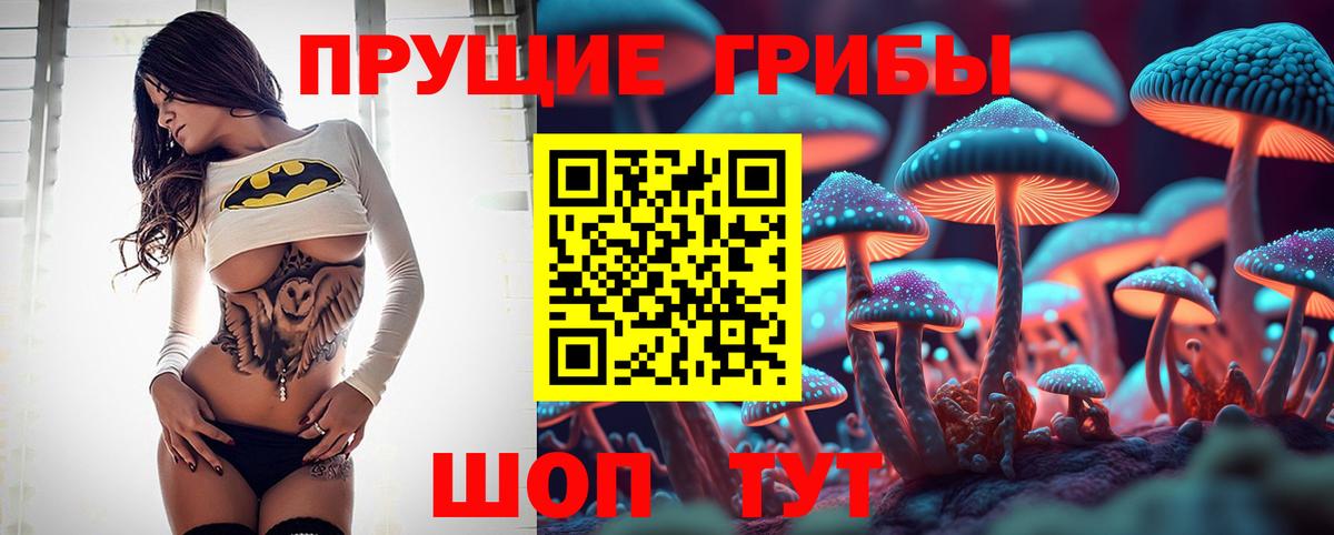 Южно-Сахалинск  Псилоцибиновые грибы Cubensis  купить наркотики сайты  Галлюциногенные грибы Psilocybe  Вход с VPN 